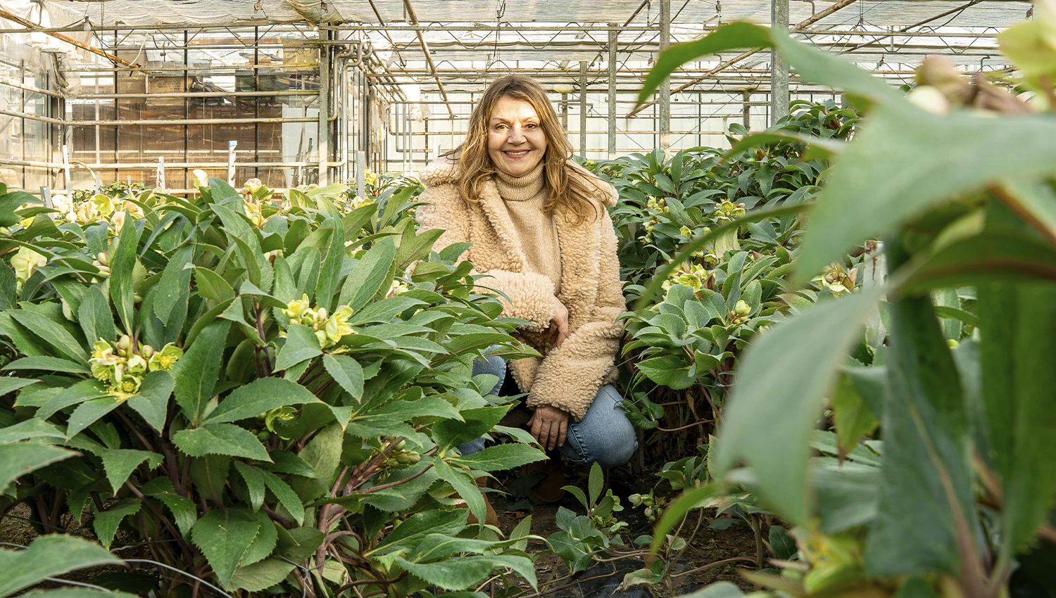 Met de juiste begeleiding naar een bloeiende onderneming