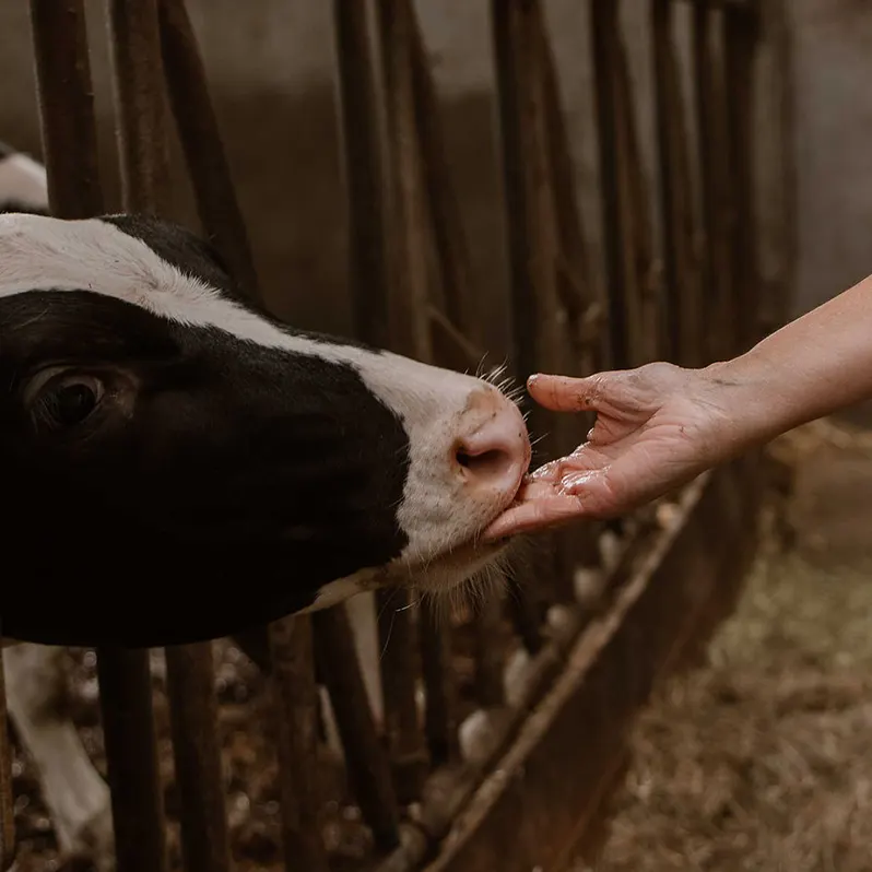 Bekijk onze agrarische dienstverlening